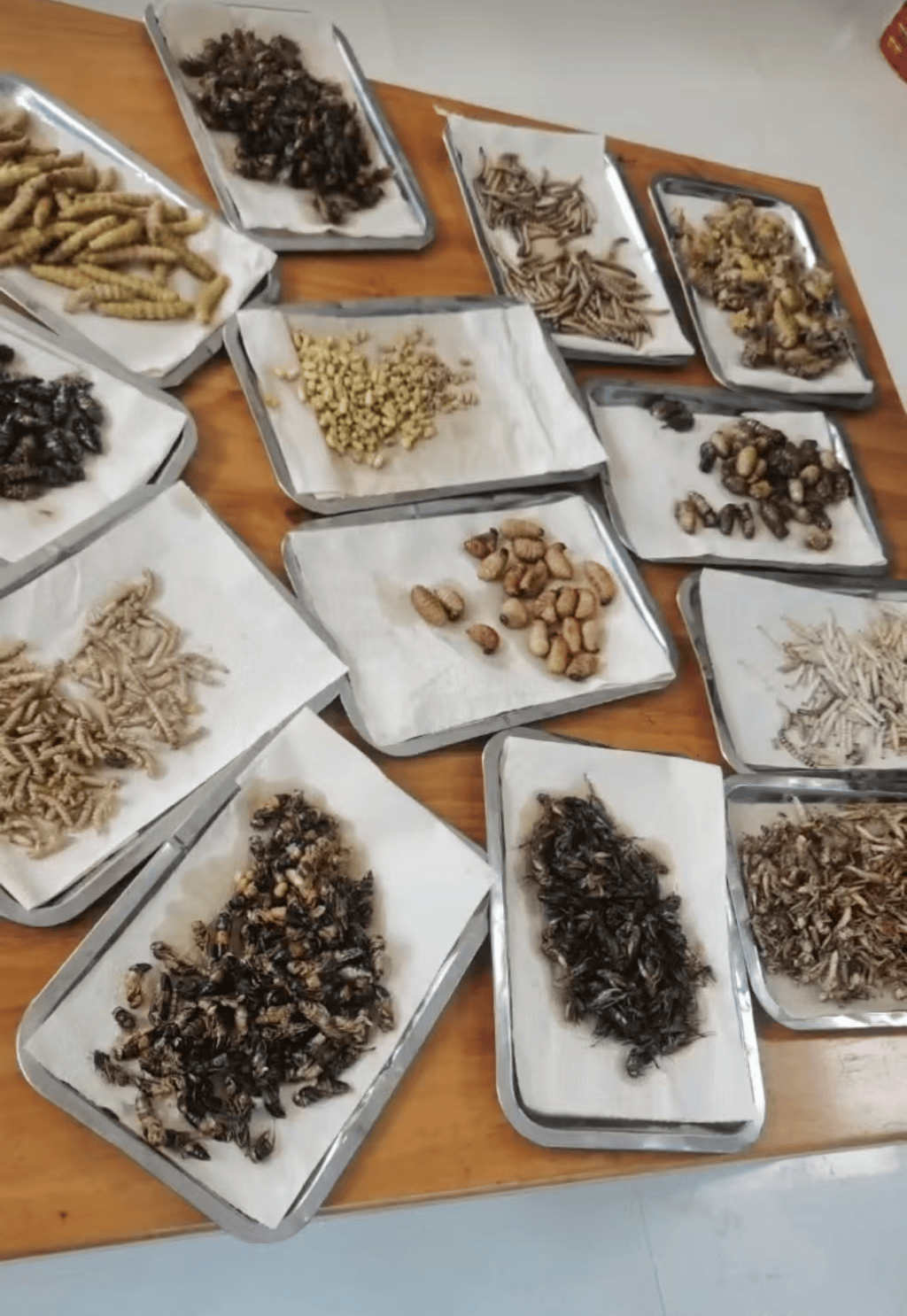 山东临沂通报“蛤蟆汤”饭店被拟罚45万：撤销处罚<strong></p>
<p>比特币官网</strong>，5人停职