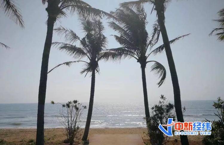 海南全岛封关时间定了<strong></p>
<p>比特币之父</strong>！啥是封关？与你有啥关系？