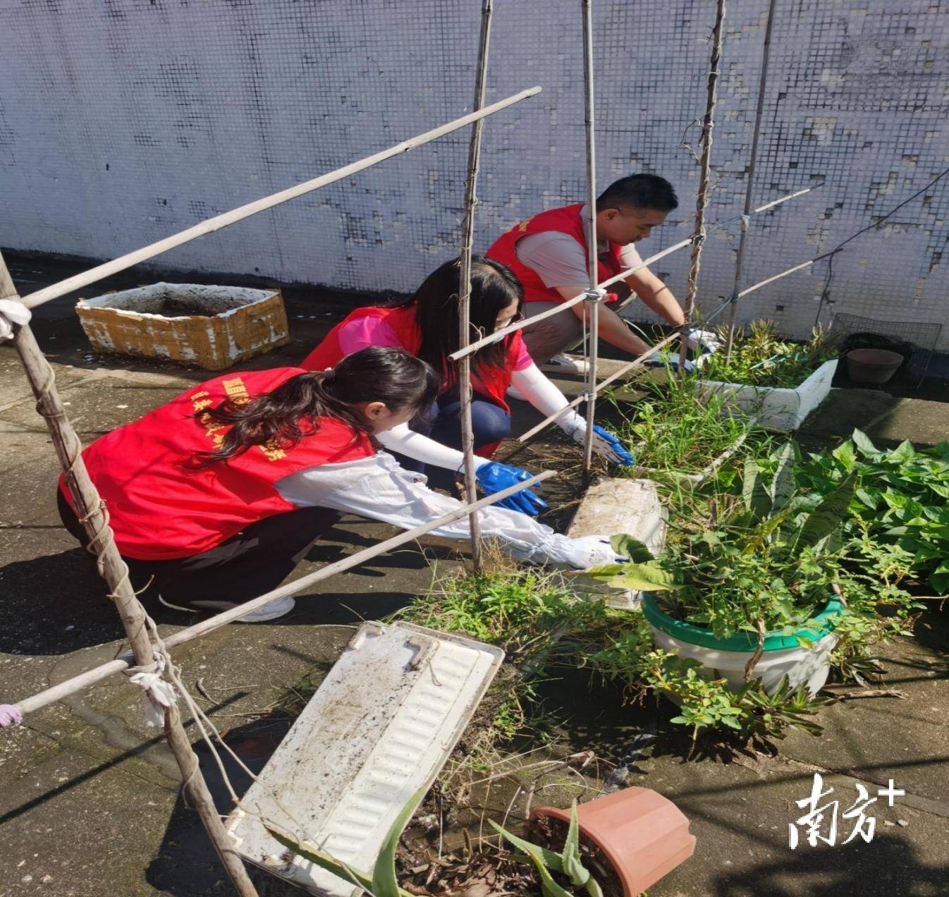 顺德超3300名党员干部下沉一线<strong></p>
<p>一个比特币要挖多久</strong>，党群联动打响蚊媒防控歼灭战
