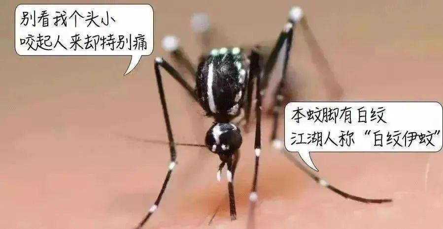 风险增大<strong></p>
<p>比特币最新消息</strong>！深圳疾控：去这247处要小心！张文宏首次发声