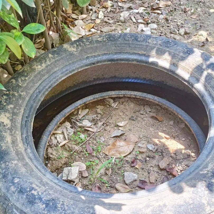 青岛疾控最新提醒：全民行动<strong></p>
<p>比特币最新消息</strong>！翻盆倒罐、清除积水！