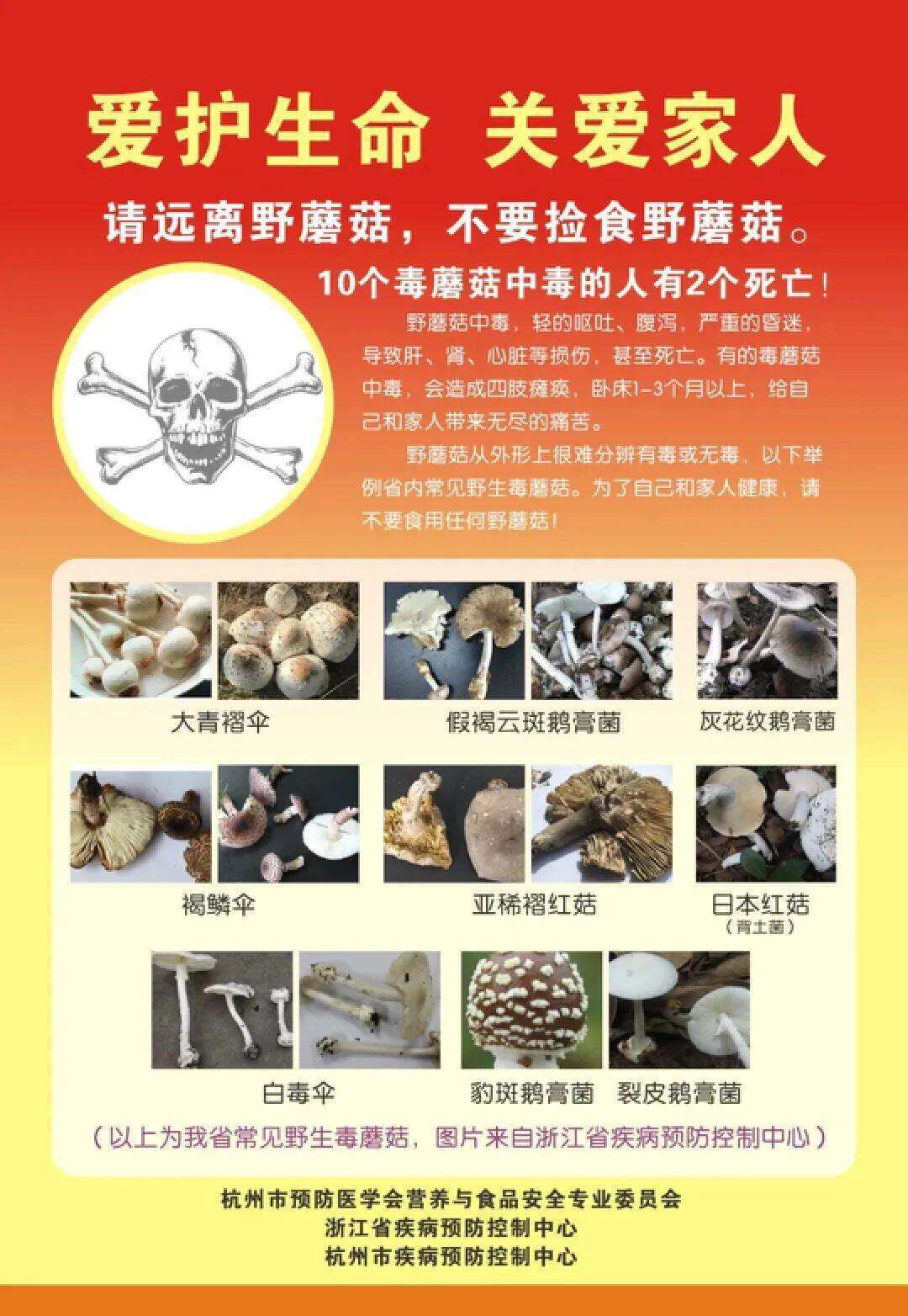 云南姑娘今年在杭州采了200斤鸡枞菌<strong></p>
<p>比特币价格今日</strong>！专家提醒→