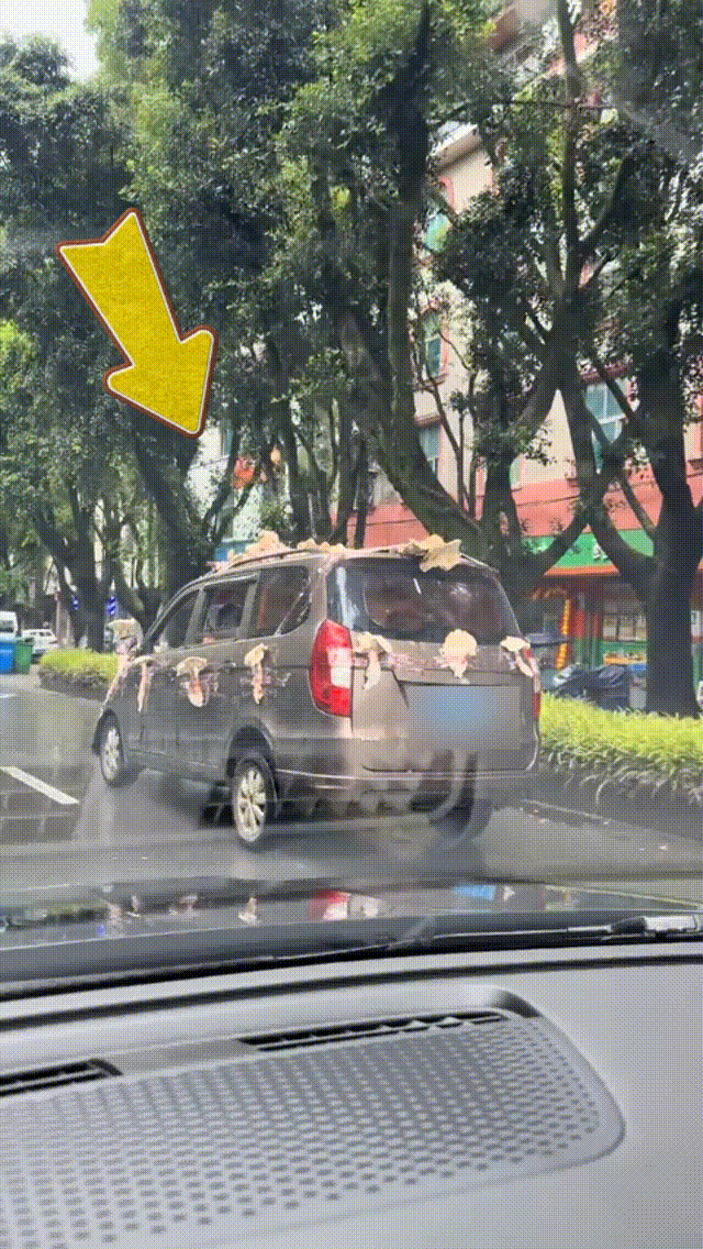 男子驾驶“鸡枞战车”满街跑<strong></p>
<p>比特币价格今日</strong>，交警紧急叫停！