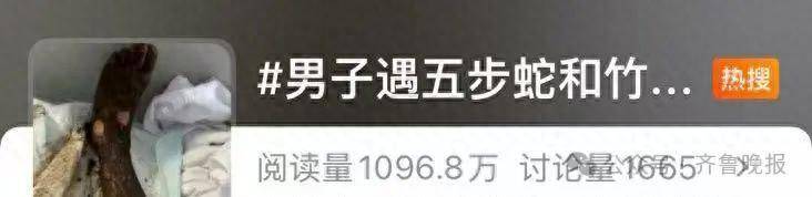 安徽宣城一男子走路玩手机<strong></p>
<p>比特币客户端下载</strong>，一脚踩中打架的竹叶青和五步蛇，被俩毒蛇咬3口！医院：暂无生命危险，正在治疗