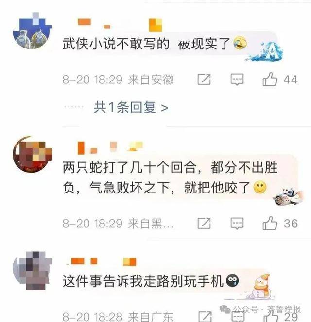 安徽宣城一男子走路玩手机<strong></p>
<p>比特币客户端下载</strong>，一脚踩中打架的竹叶青和五步蛇，被俩毒蛇咬3口！医院：暂无生命危险，正在治疗