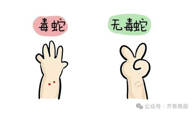 安徽宣城一男子走路玩手机<strong></p>
<p>比特币客户端下载</strong>，一脚踩中打架的竹叶青和五步蛇，被俩毒蛇咬3口！医院：暂无生命危险，正在治疗
