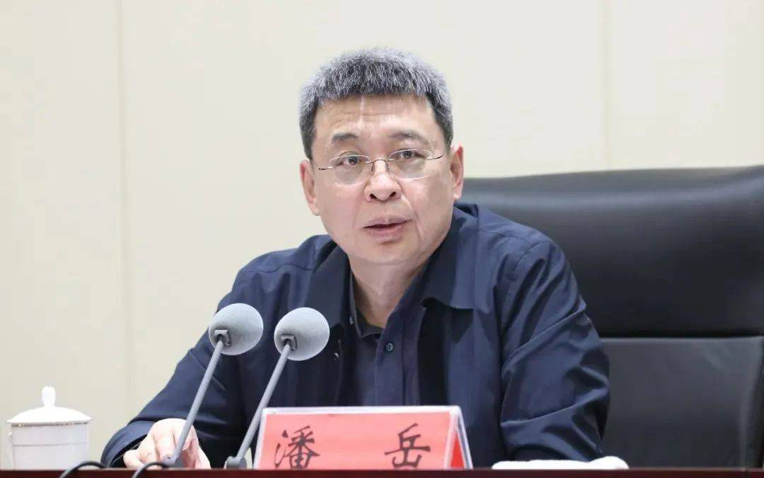 正部级潘岳<strong></p>
<p>比特币吧</strong>，有新职