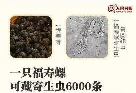 别吃！寄生虫多达6000条！浙江一地大量出现<strong></p>
<p>比特币吧</strong>，看到立刻上报