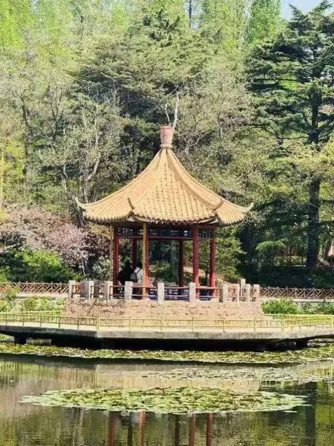青岛中山公园一凉亭突然倒塌：一年前刚完成修缮<strong></p>
<p>比特币怎么挖矿</strong>，园方称无伤亡原因待查