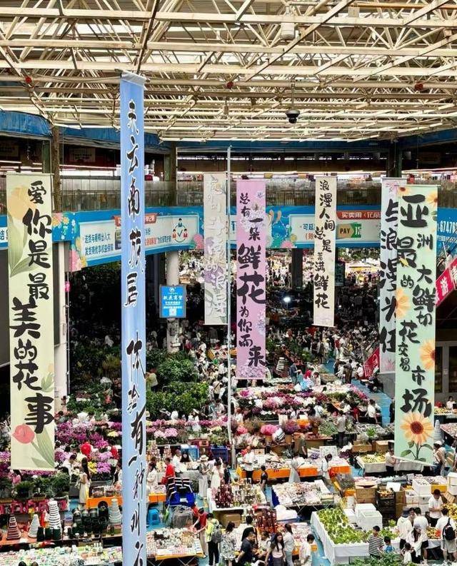 七夕不送玫瑰改送花菜<strong></p>
<p>比特币怎么交易</strong>！这一届年轻人“反套路”重新定义浪漫