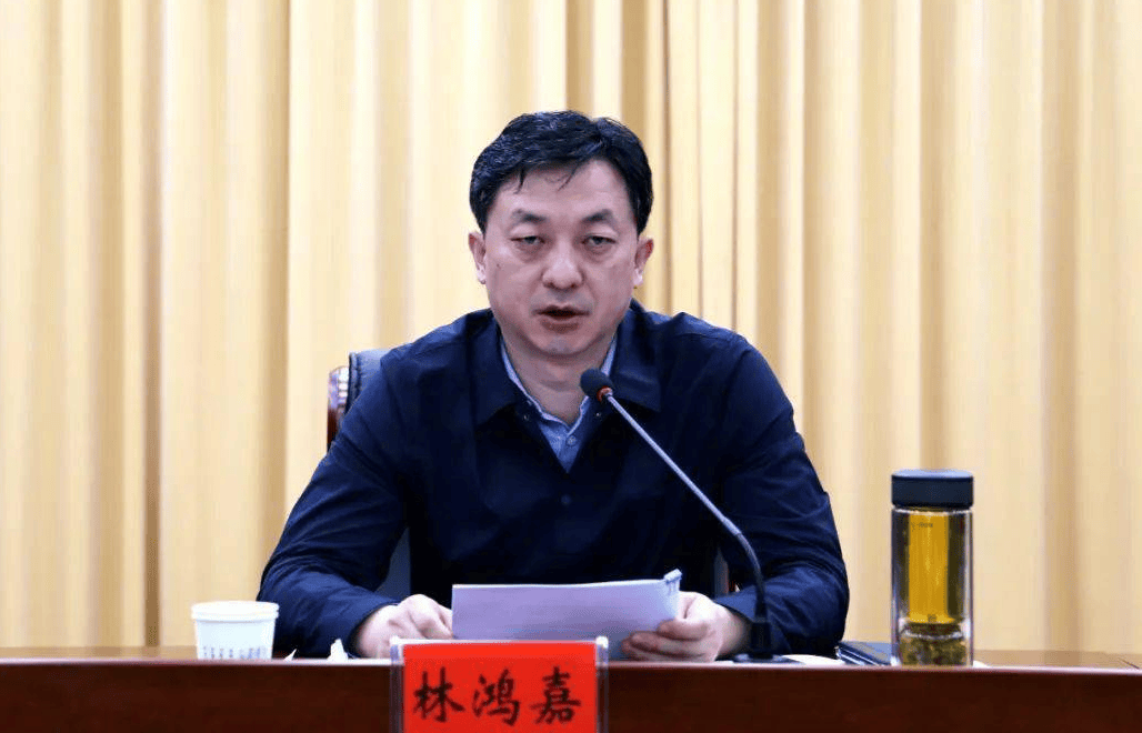鹤壁市常务副市长林鸿嘉<strong></p>
<p>比特币大涨</strong>，被罢免市人大代表职务