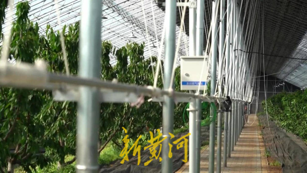 潍坊临朐：30.77 亿元<strong></p>
<p>比特币大涨</strong>！“红玛瑙”大樱桃何以成乡村振兴“甜蜜引擎”