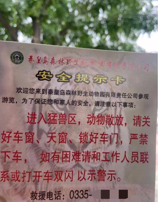 惊险！野生动物园内<strong></p>
<p>比特币大涨</strong>，两车剐蹭，车主下车沟通老虎一旁围观