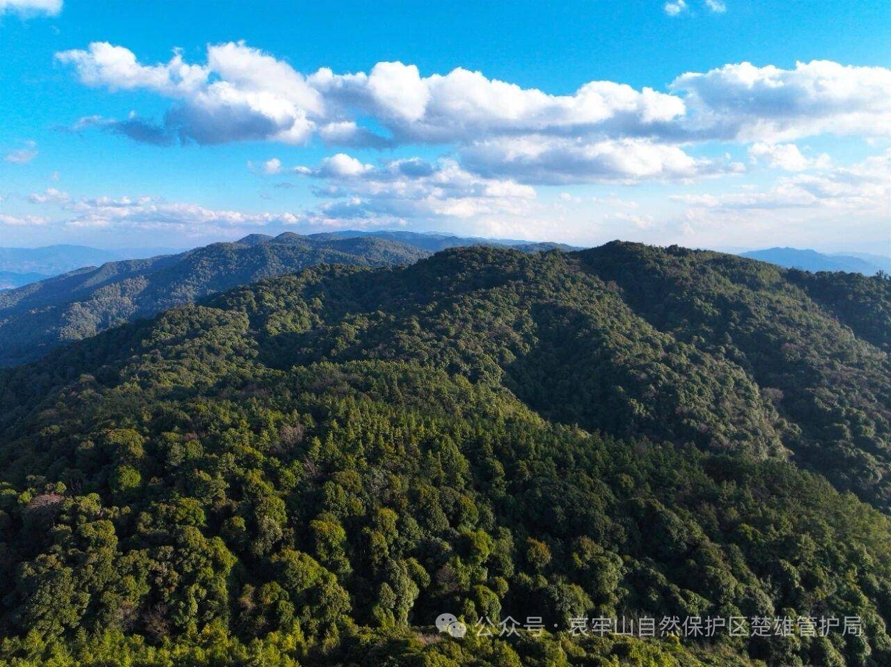 云南哀牢山新规出台：禁止任何单位和个人擅入哀牢山自然保护区<strong></p>
<p>比特币今天价格</strong>，从事科研活动须报批