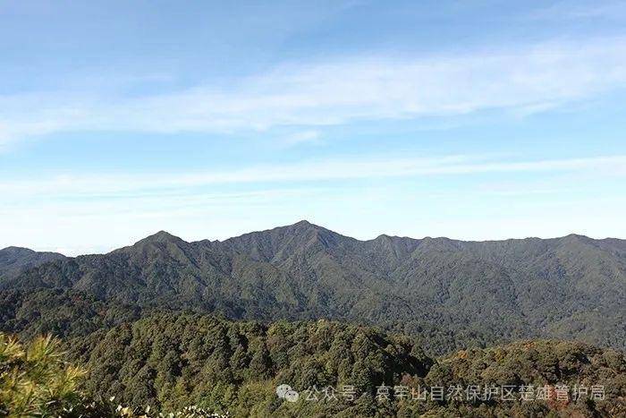 云南哀牢山新规出台：禁止任何单位和个人擅入哀牢山自然保护区<strong></p>
<p>比特币今天价格</strong>，从事科研活动须报批