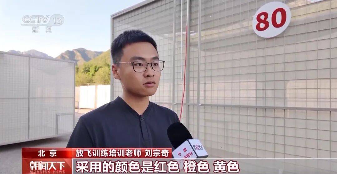 明天将放飞8万羽和平鸽、8万只气球<strong></p>
<p>比特币今天价格</strong>，揭秘！