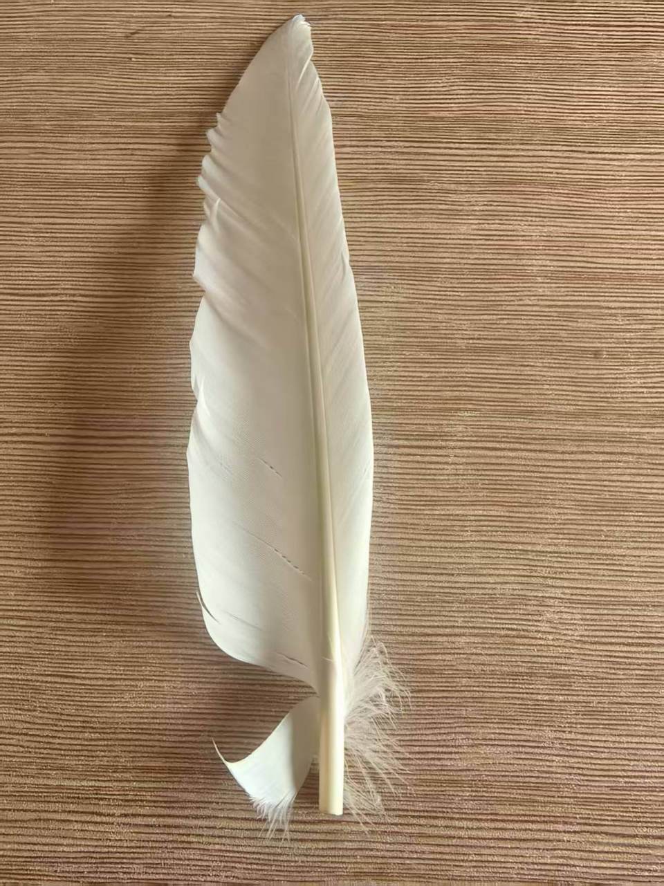 羽毛球又又又涨价<strong></p>
<p>比特币今天价格</strong>，球友破防：月花三千扛不住，打球人的天塌了