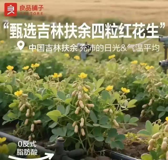 “花生上树”闹剧：AI翻车背后<strong></p>
<p>买比特币</strong>，我们都在弄丢常识？