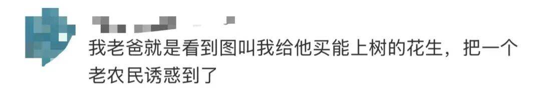 “花生上树”闹剧：AI翻车背后<strong></p>
<p>买比特币</strong>，我们都在弄丢常识？