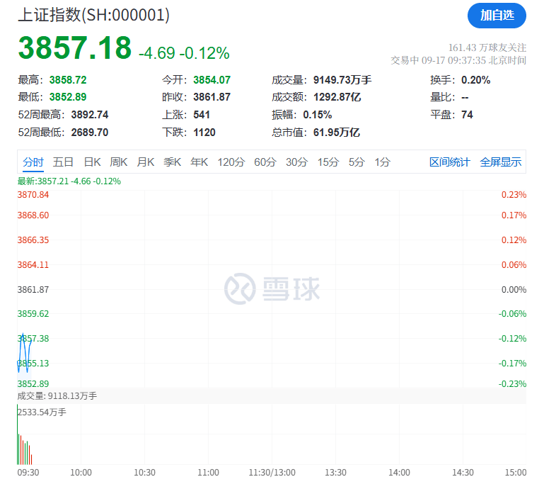 突然，集体猛拉！狂掀涨停潮