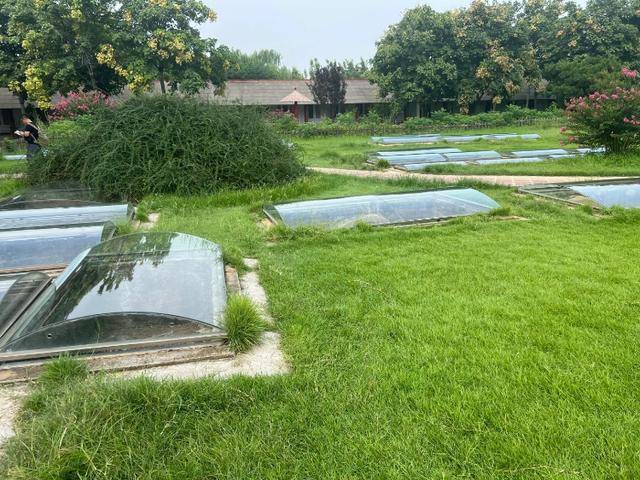 游客称殷墟博物馆人祭坑被填埋<strong></p>
<p>比特币今天行情</strong>，博物馆回应：坑内陈列物系复制品，因整修暂时填埋