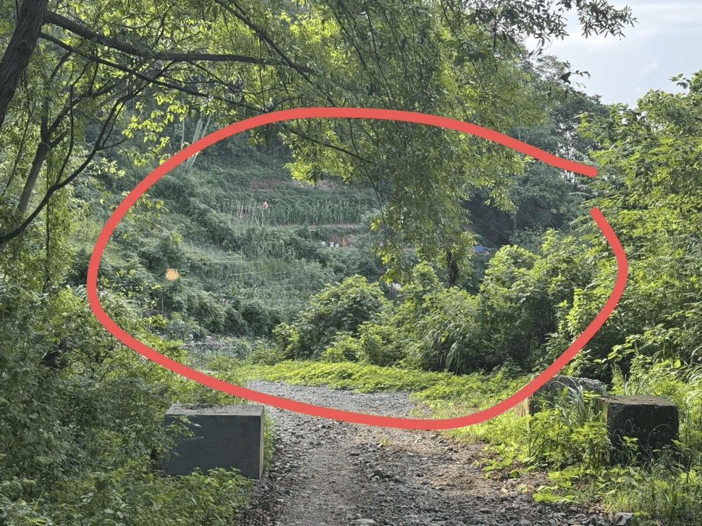 杭州女子误踩“化骨水”身亡<strong></p>
<p>比特币市值</strong>，当地：已锁定化学品所有者，发现三桶，一桶完整，两桶残余