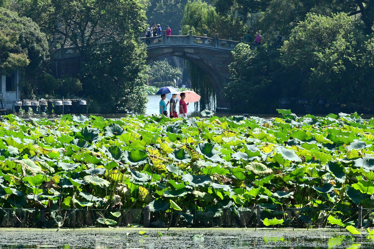 “三台共舞”对浙江有何影响?周末又有冷空气<strong></p>
<p>比特币交易市场</strong>,气温舒适