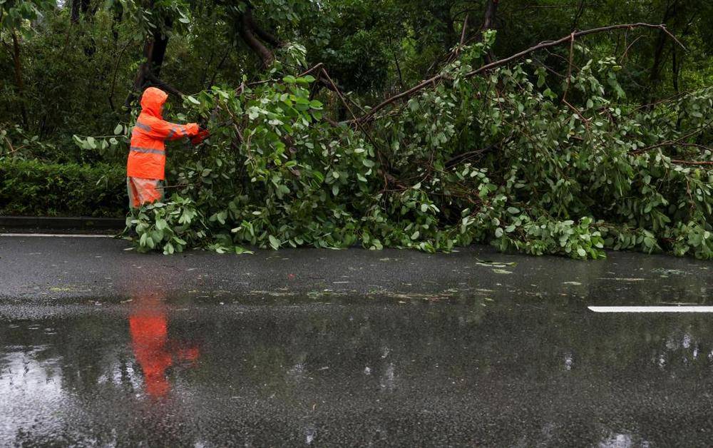 谁给“风王”踩了“刹车”<strong></p>
<p>比特币历史价格</strong>，打了“转向”，又是咋知道的?