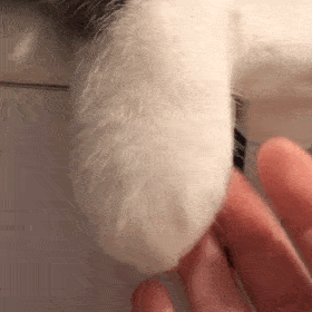 1227个城镇老旧小区<strong></p>
<p>比特币历史价格</strong>,全部开工!