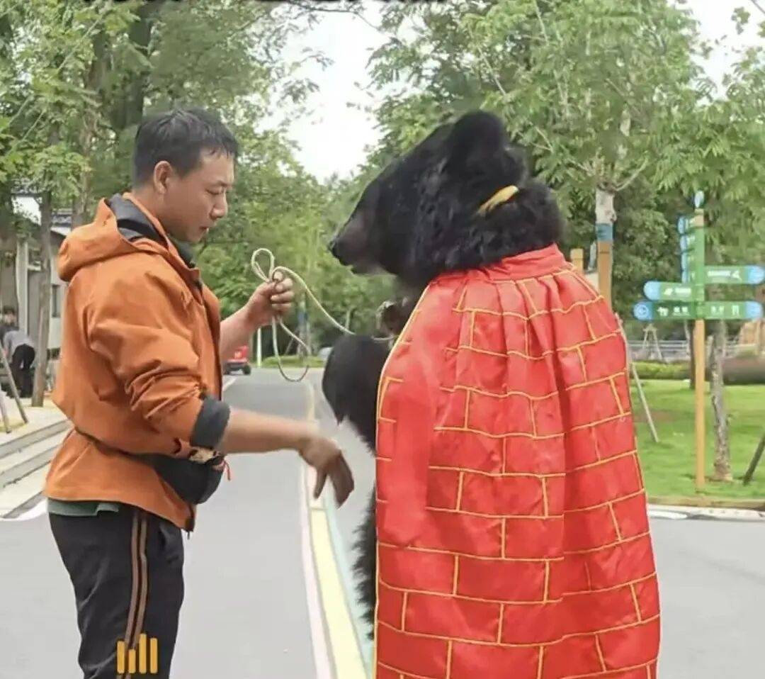 安徽一动物园黑熊披袈裟站立引游客质疑<strong></p>
<p>比特币历史价格</strong>,工作人员:是真熊,人工饲养易出现仿人行为