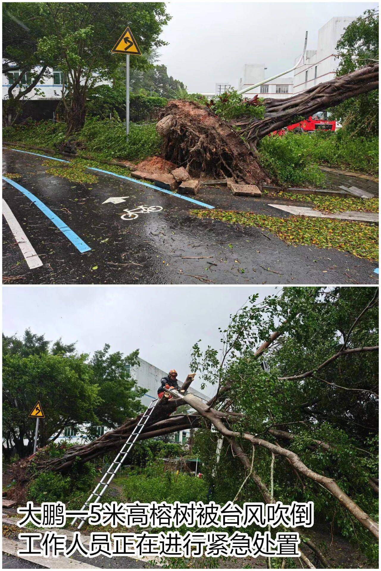 台风夜<strong></p>
<p>比特币历史价格</strong>,深圳有人溺水!紧急!“桦加沙”过境,这些画面泪目