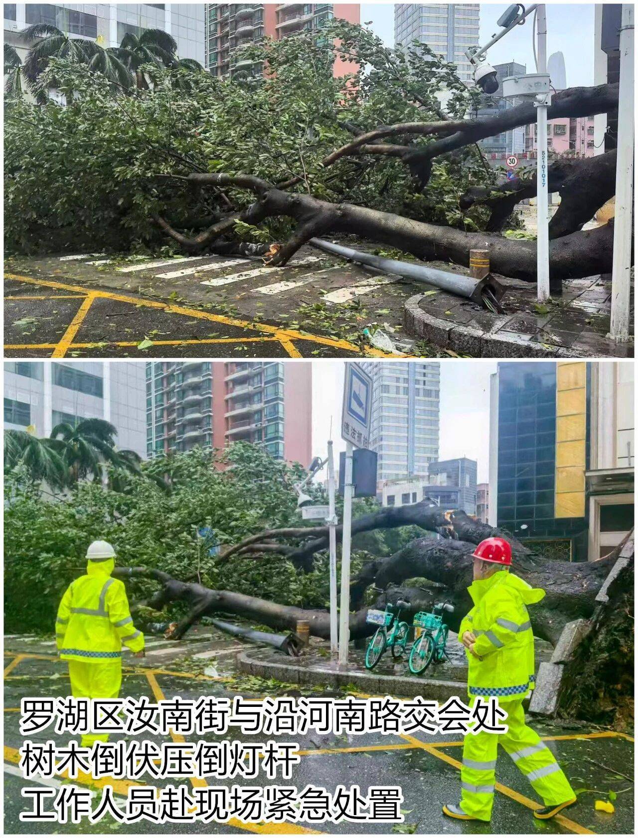 台风夜<strong></p>
<p>比特币历史价格</strong>,深圳有人溺水!紧急!“桦加沙”过境,这些画面泪目