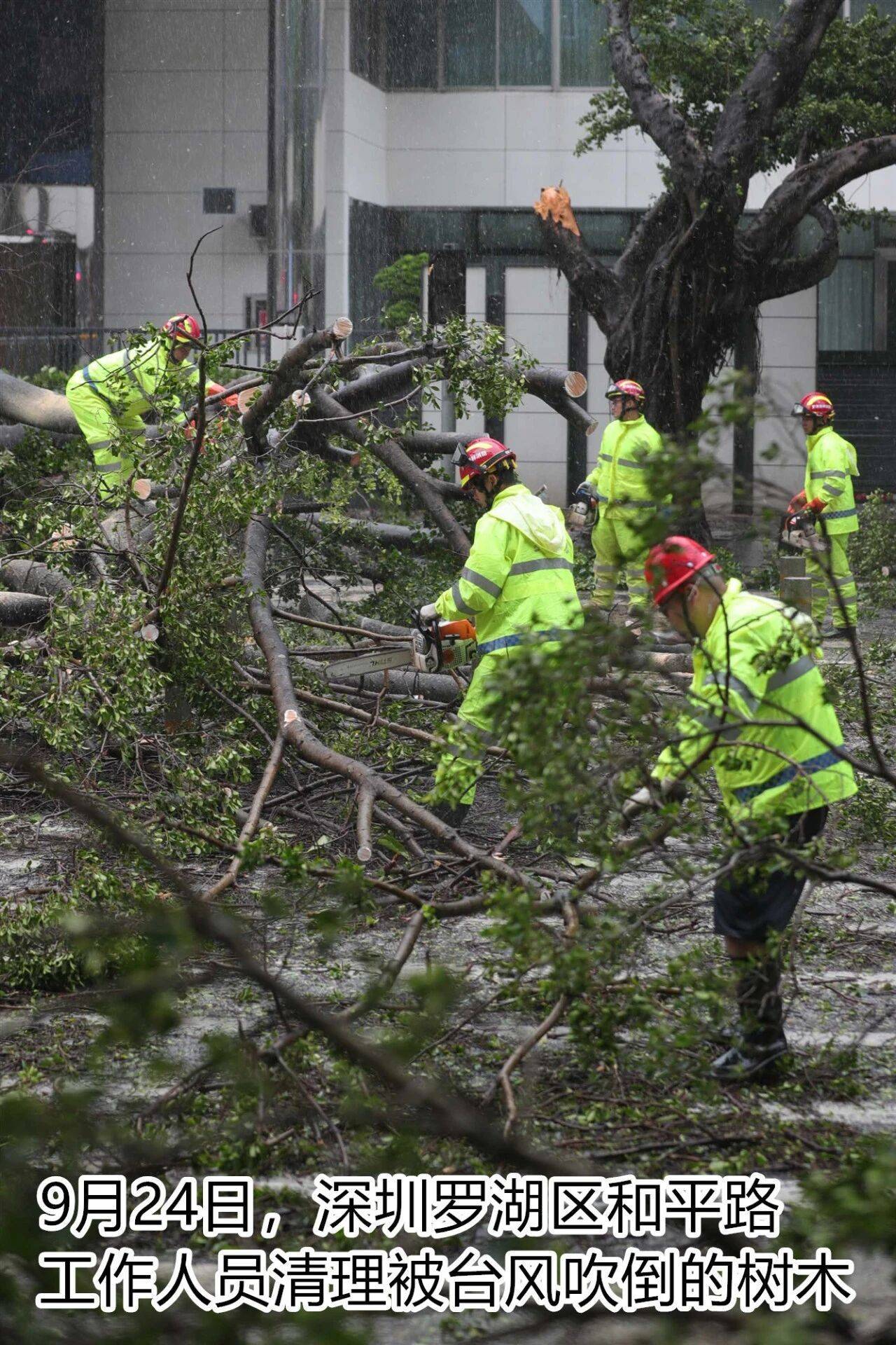 台风夜<strong></p>
<p>比特币历史价格</strong>,深圳有人溺水!紧急!“桦加沙”过境,这些画面泪目