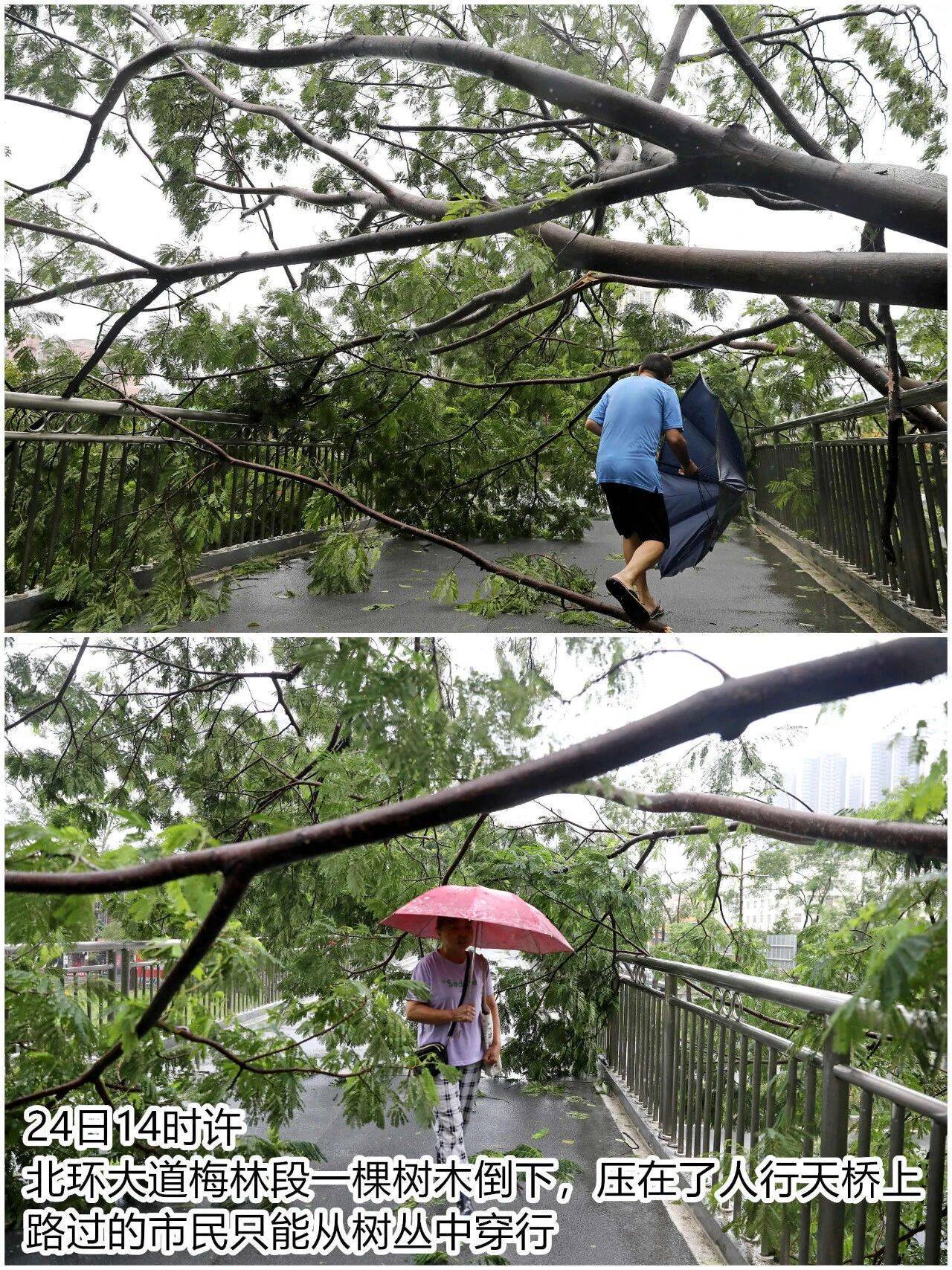 台风夜<strong></p>
<p>比特币历史价格</strong>,深圳有人溺水!紧急!“桦加沙”过境,这些画面泪目