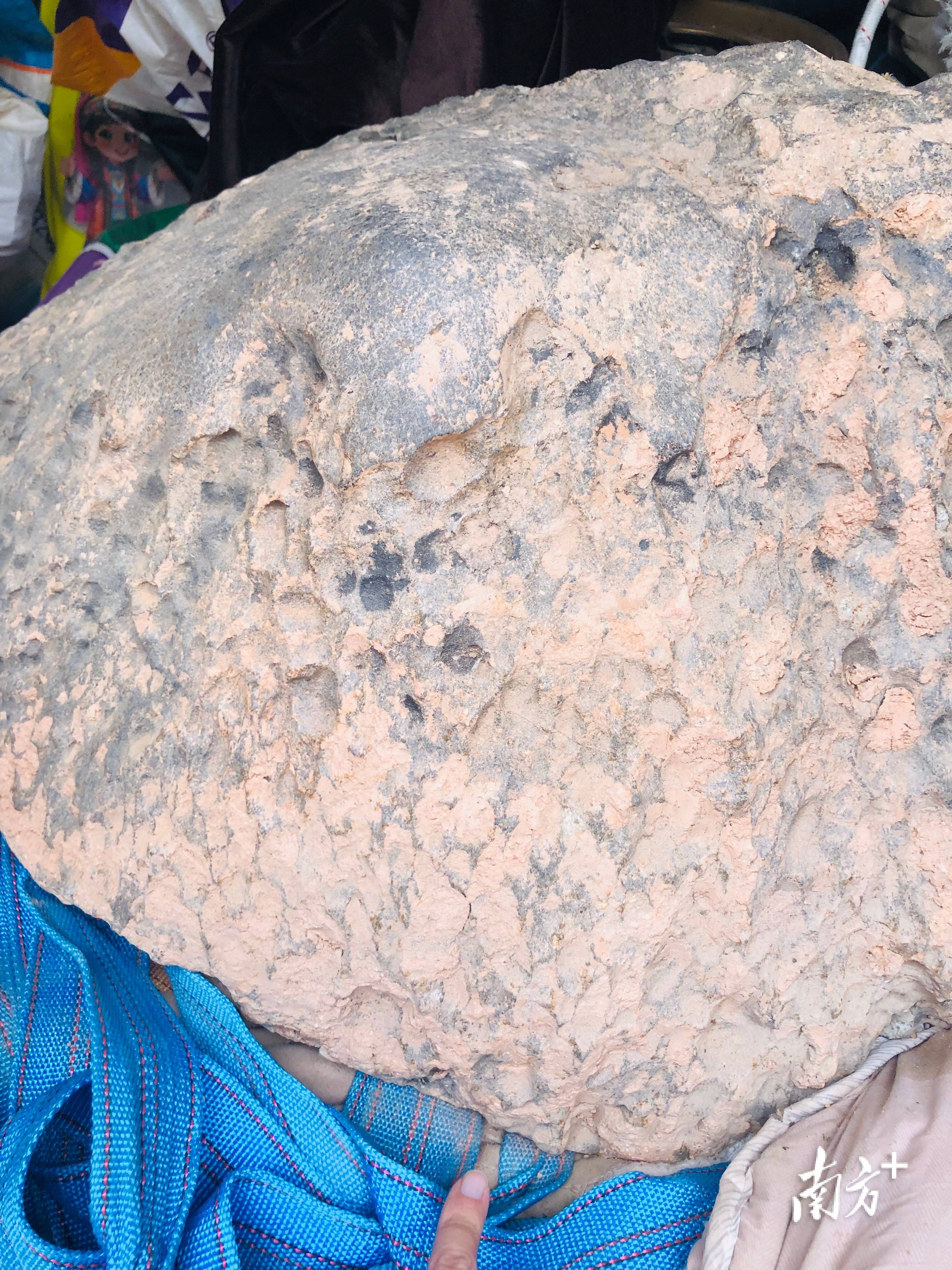 423公斤陨石在茂名电白挖出<strong></p>
<p>比特币历史价格</strong>,系国内目击降落第二大单体陨石