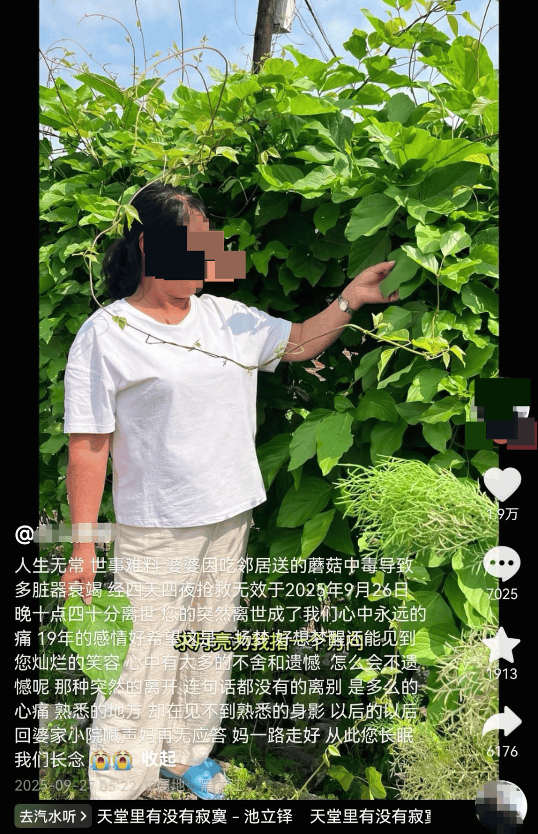 网红发文悼念婆婆:吃了邻居送的蘑菇中毒<strong></p>
<p>比特币今日行情走势</strong>,抢救四天四夜死亡!这些蘑菇避毒原则可能是陷阱→