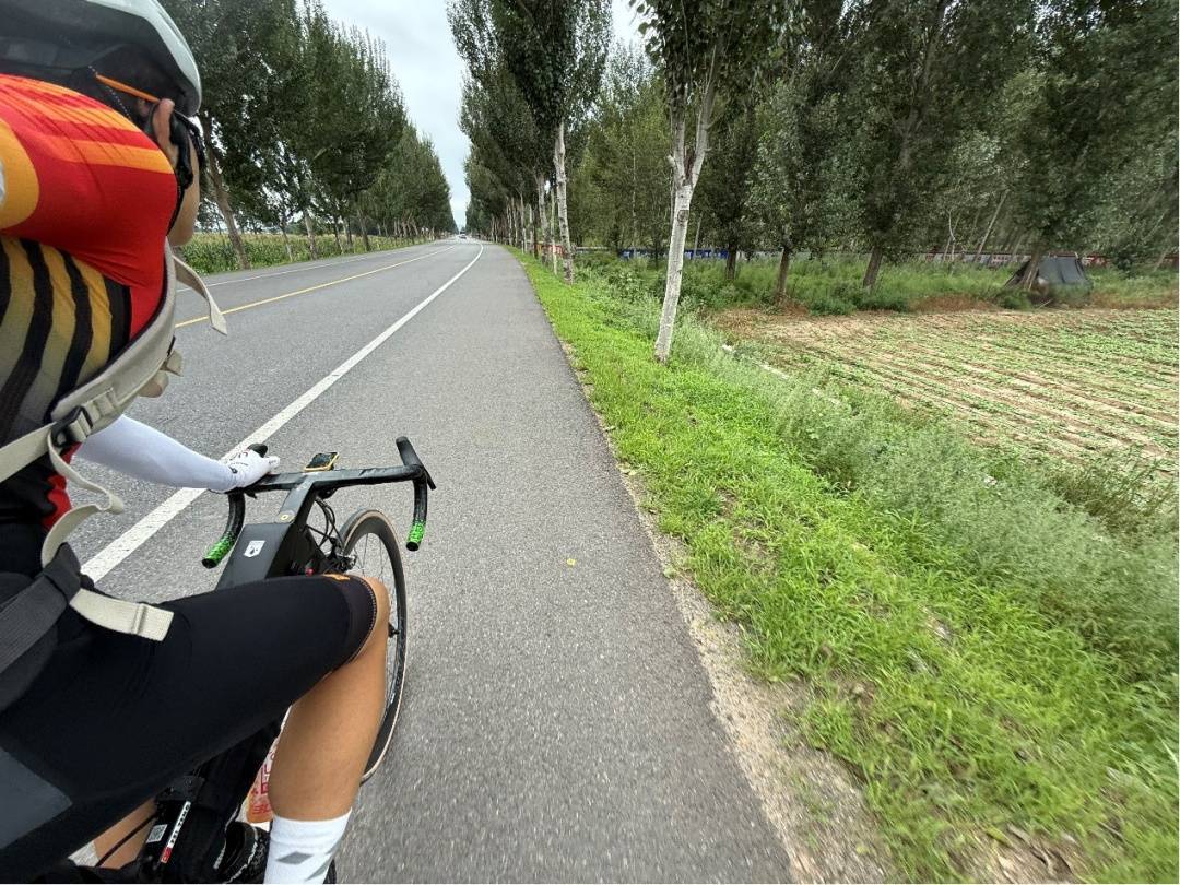 厉害了<strong></p>
<p>比特币今日行情走势</strong>!沈阳少年独自骑行1850公里去武汉上大学