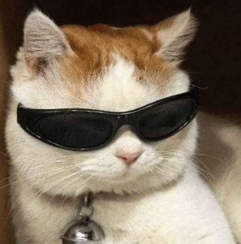 “不亚于春节回家”!凌晨5点<strong></p>
<p>比特币多少钱</strong>,深圳有人已经堵在路上……