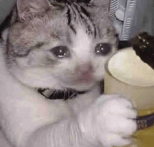 “不亚于春节回家”!凌晨5点<strong></p>
<p>比特币多少钱</strong>,深圳有人已经堵在路上……