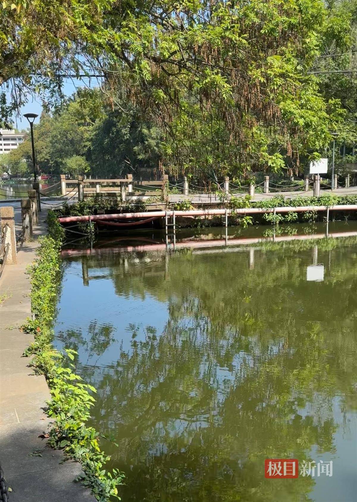 对话鸡排哥李俊永：爆火后每天一二十个镜头对着我<strong></p>
<p>比特币多少钱</strong>，未来不考虑直播带货，更愿意和顾客待在一起