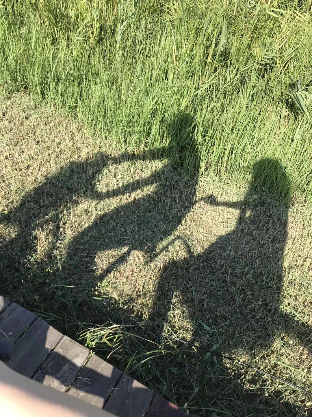 纸质火车票退场<strong></p>
<p>比特币多少钱</strong>,每道折痕里都藏着远方、爱情与山河记忆