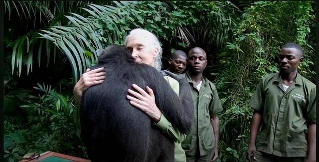 “课本上的传奇”<strong></p>
<p>美元比特币</strong>,走了