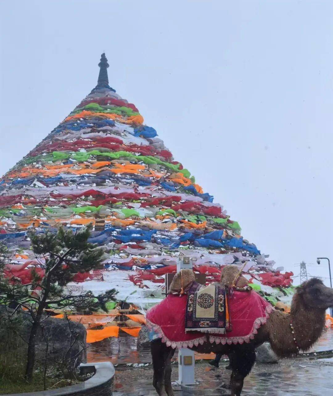 多地突降大雪<strong></p>
<p>美元比特币</strong>!