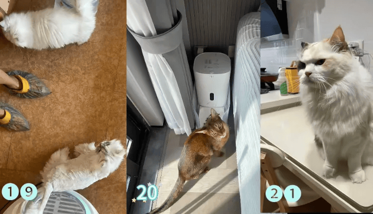 这个需求激增!一男子连接270单<strong></p>
<p>比特币人民币</strong>,其中一笔收费8100元