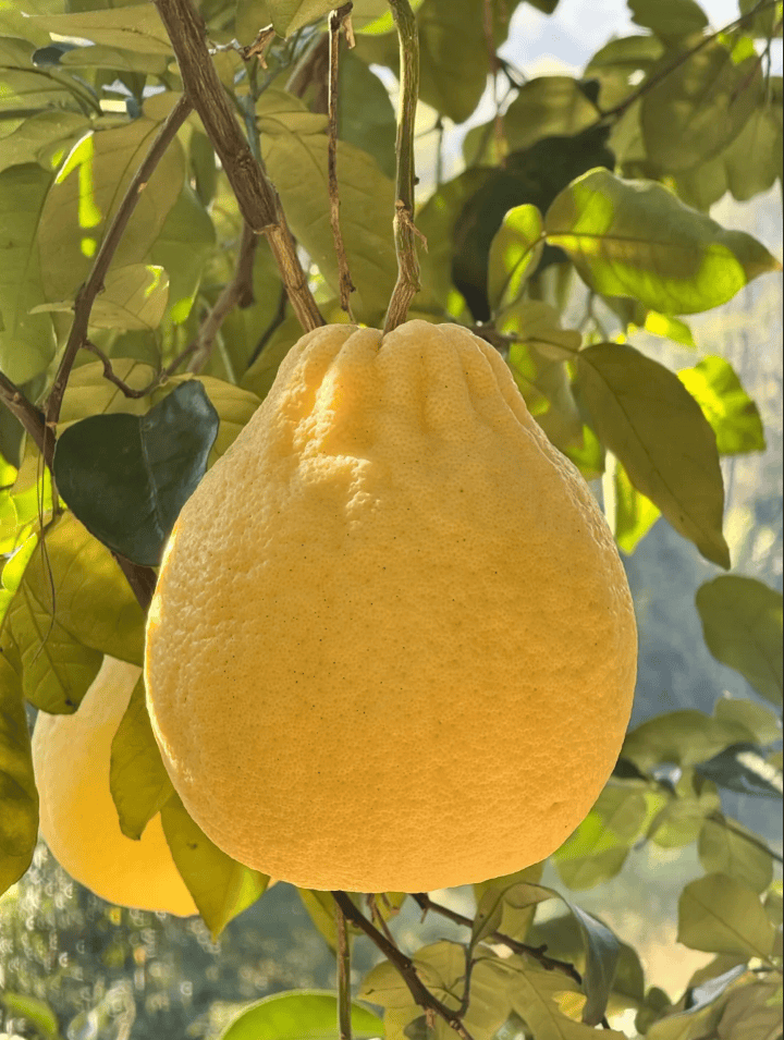 没有什么能阻挡!今天<strong></p>
<p>比特币人民币</strong>,广西人就是要回家!