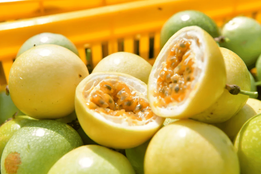 没有什么能阻挡!今天<strong></p>
<p>比特币人民币</strong>,广西人就是要回家!