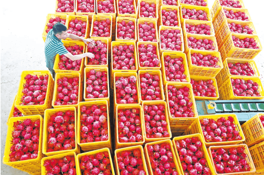 没有什么能阻挡!今天<strong></p>
<p>比特币人民币</strong>,广西人就是要回家!