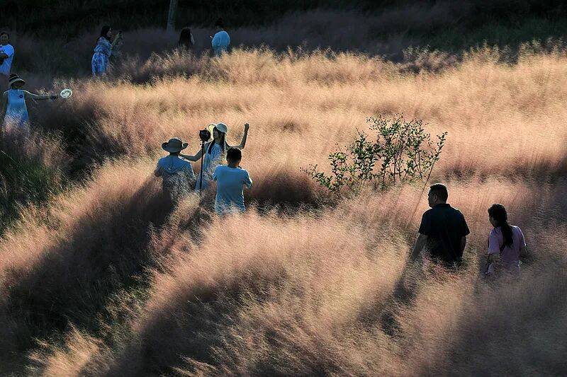 打卡拍照<strong></p>
<p>比特币最高价格</strong>，再美也不能用生命对焦