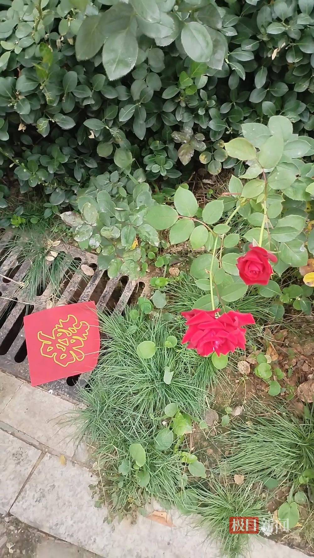 山西婚礼要在下水道井盖贴“喜”字？有的井盖被贴了8张<strong></p>
<p>比特币最高价格</strong>，当地居民：寓意不踩坑、驱晦迎喜