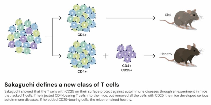 这个诺奖迟到了30年<strong></p>
<p>比特币的价格</strong>!三位科学家揭示免疫系统如何避免“自相残杀”